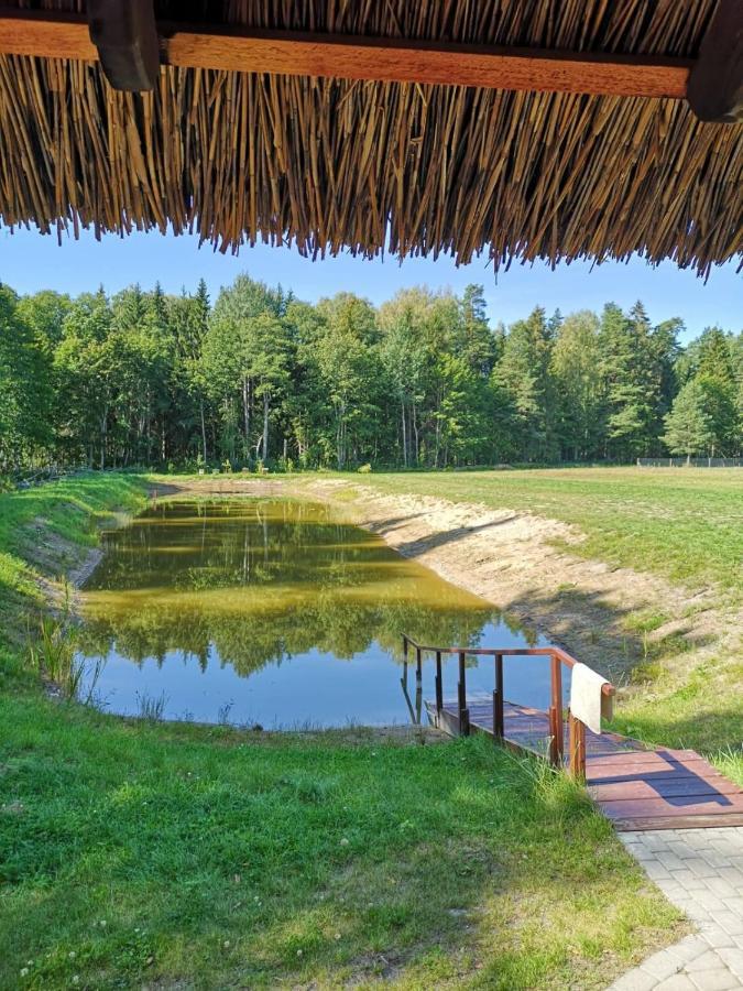 Villa Pirts Maja Ramatas Skulte  Esterno foto