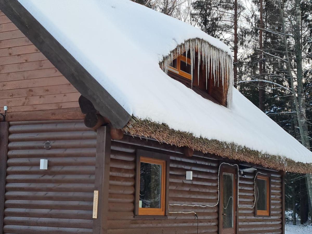 Villa Pirts Maja Ramatas Skulte  Esterno foto